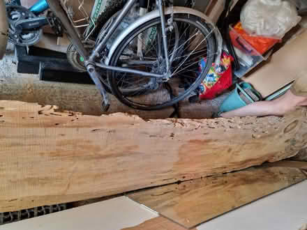 Photo of free Monterrey pine slab (Hersham KT12) #4