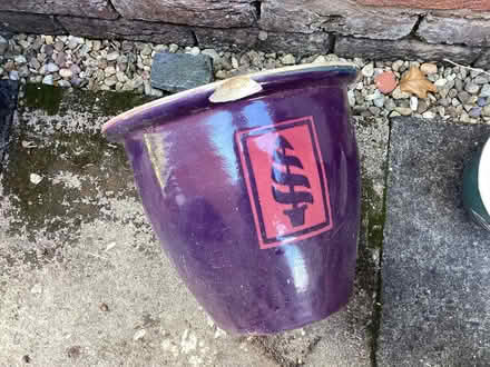Photo of free Various outdoor plant pots (Hackney Cross WR13) #4