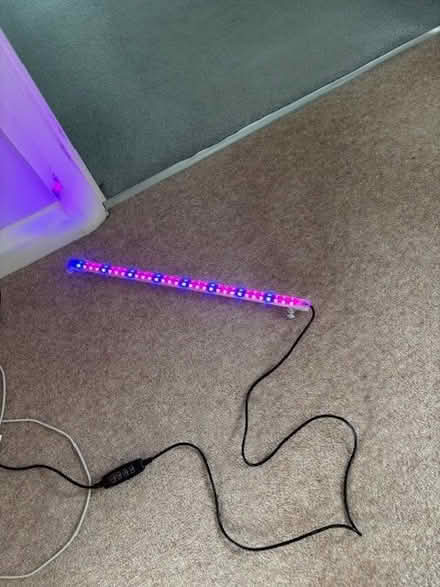 Photo of free Grow light (Wokingham RG40) #1