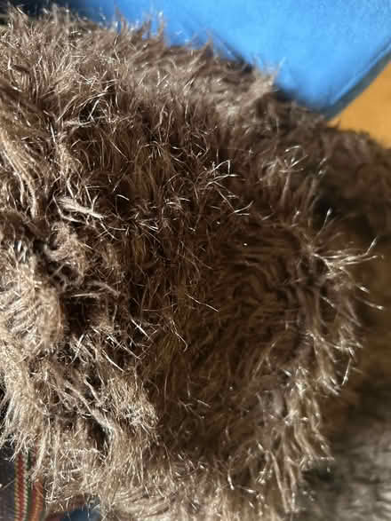 Photo of free Two large throws (Torquay TQ1) #2