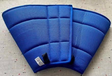 Photo of free Dog surgical collar (Dyke Road area BN1) #1