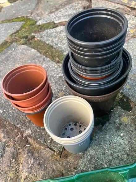 Photo of free Seed/plant trays and pots (East Didsbury/Burnage M19) #3