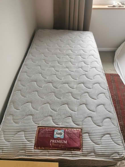 Photo of free Single Bed (Chinnor, OX39) #1