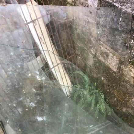 Photo of free Greenhouse glass (Staveley LA8) #1