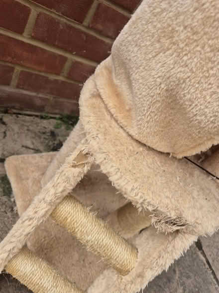 Photo of free Used tall cat tree (Medway/kent) #2