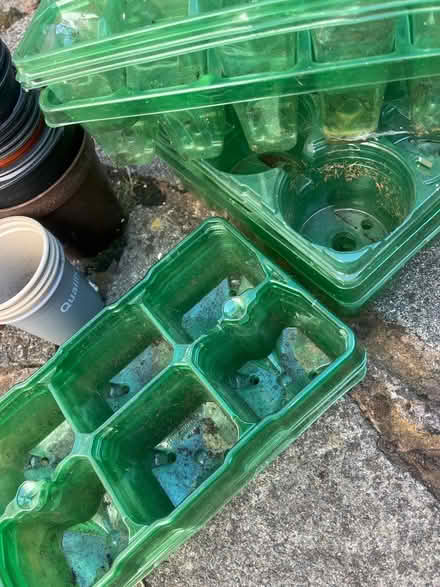 Photo of free Seed/plant trays and pots (East Didsbury/Burnage M19) #2