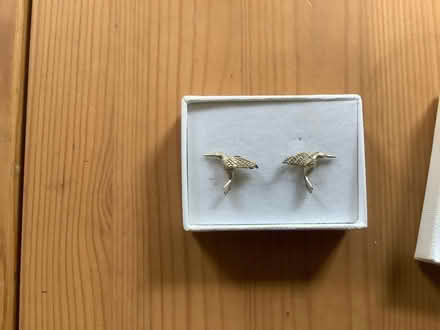 Photo of free Kingfisher stud earings (White City W10) #1