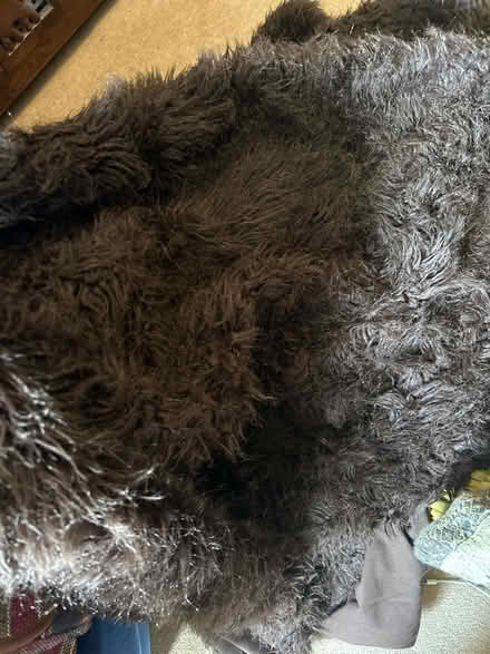 Photo of free Two large throws (Torquay TQ1) #1