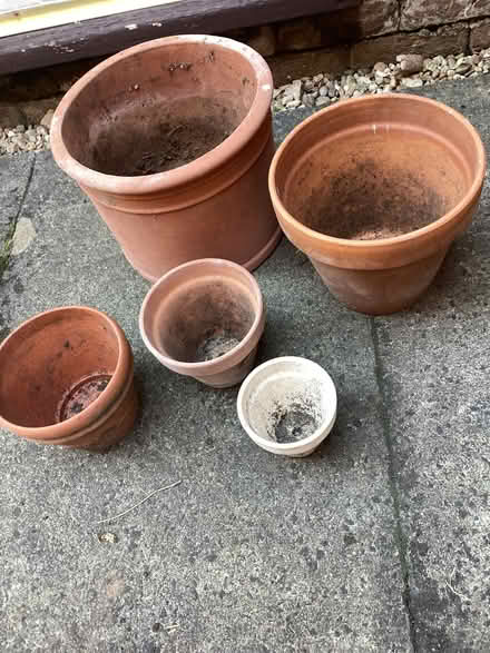 Photo of free 5 terracotta pots (Hackney Cross WR13) #1