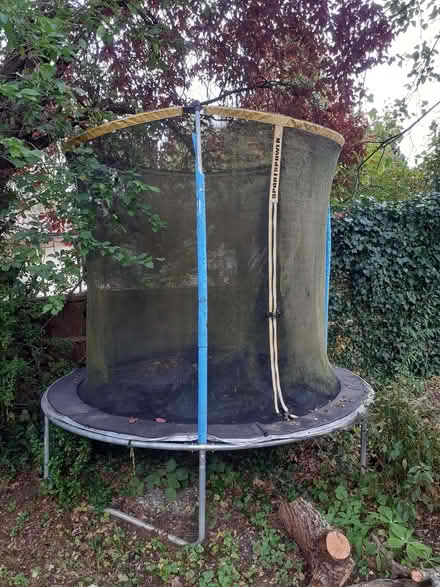Photo of free Trampoline (Loughton IG10) #1