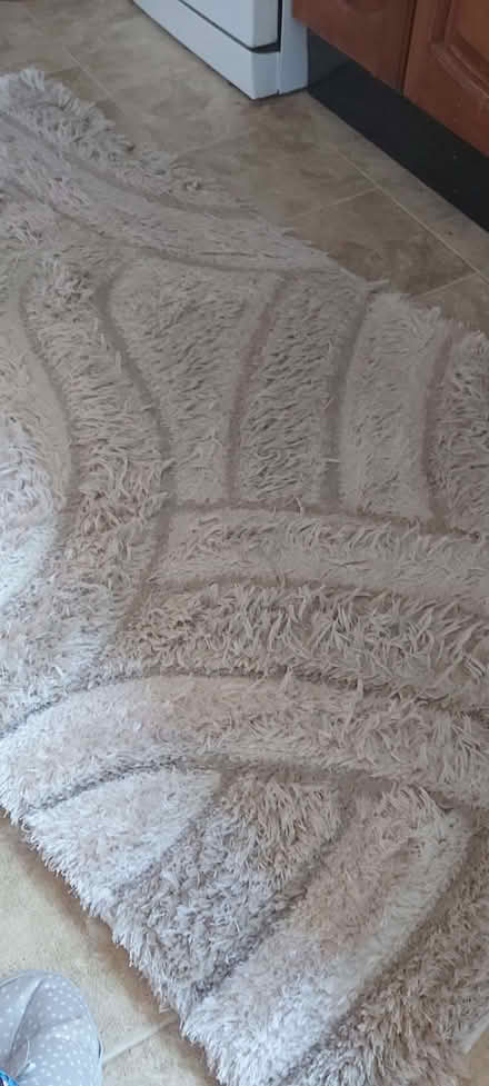 Photo of free Rug (Cam GL11) #2