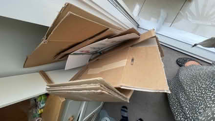 Photo of free Packing Boxes, packing paper, protective foam labels (West End KT10) #1