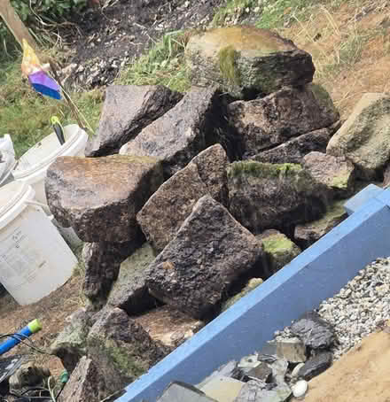 Photo of free Rockery Stones (Purewell BH23) #3