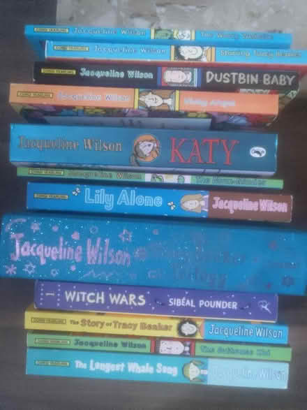 Photo of free Books by Jacqueline Wilson, N14 (Cockfosters N14) #1