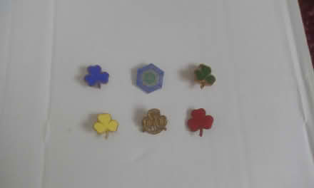 Photo of free girl guide badges (Waterlooville) #1
