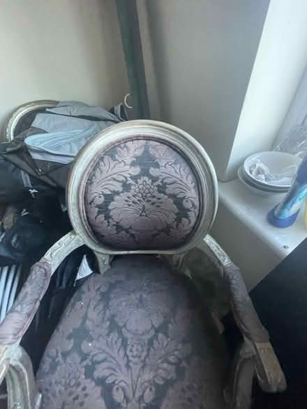 Photo of free Two snappy chic chairs (Boughton CH3) #2