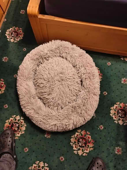 Photo of free Pet bed, used few times (Rainham RM13) #1