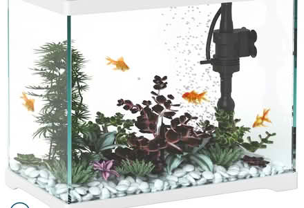 Photo of Fish tank / aquarium (Temple Street OX4) #1