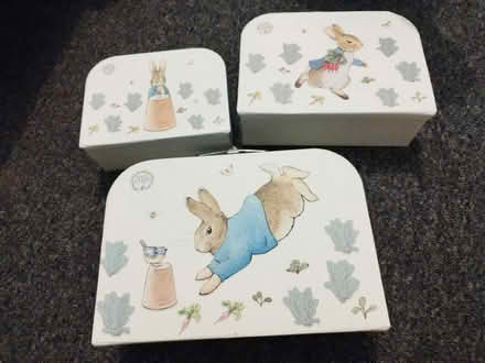 Photo of free Peter Rabbit 3x Carry Case (DE23) #2