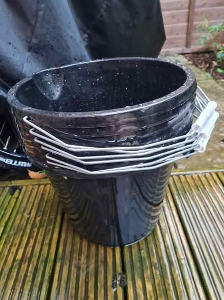 Photo of free Buckets (Wokingham RG40) #1