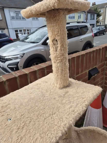 Photo of free Used tall cat tree (Medway/kent) #3