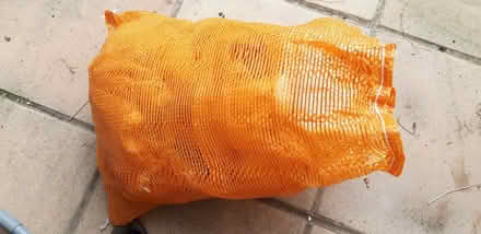 Photo of free 8x net sacks (St Leonards TN38) #1