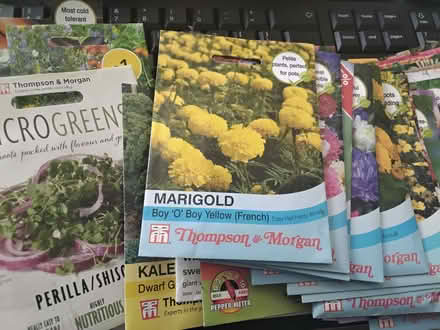 Photo of free Big bundle of seed packets (Northern Moor M23) #1