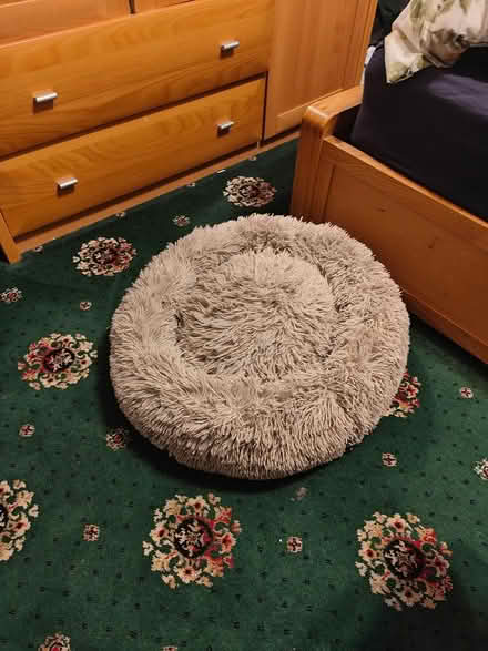 Photo of free Pet bed, used few times (Rainham RM13) #2