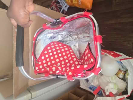 Photo of free Picnic bag (Bloxwich, Walsall WS3) #2