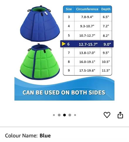 Photo of free Dog surgical collar (Dyke Road area BN1) #3