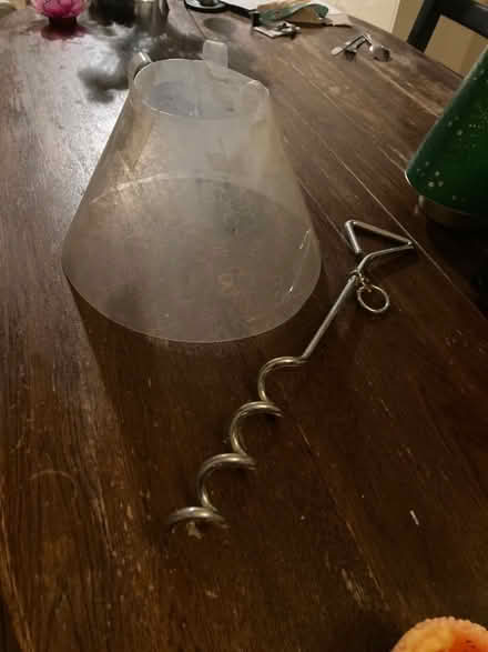 Photo of free Glasses & dog collar (Halton LA2) #2