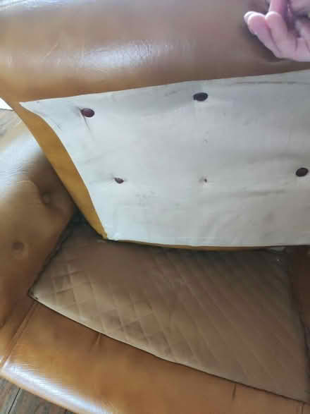 Photo of free Comfy chair (Eastbourne) #4