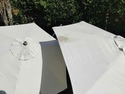 Photo of free Garden function canvas Umbrella (Gotherington GL52) #3
