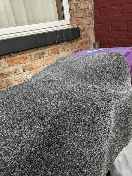 Photo of free Carpet (L8) #1