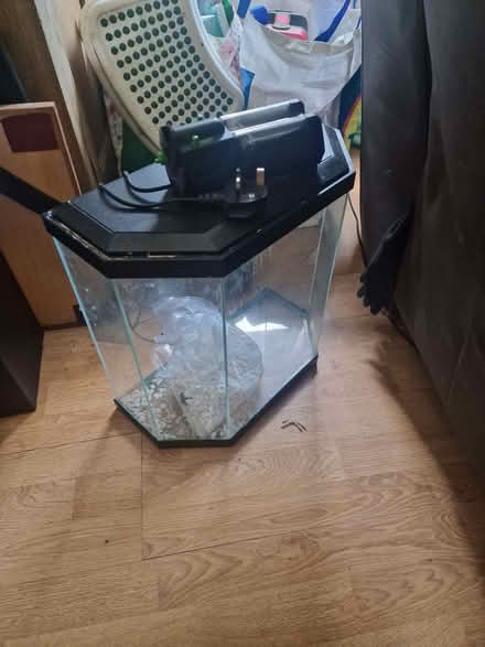 Photo of free Half hex 20lt fish tank and filter (Larkhall) #1