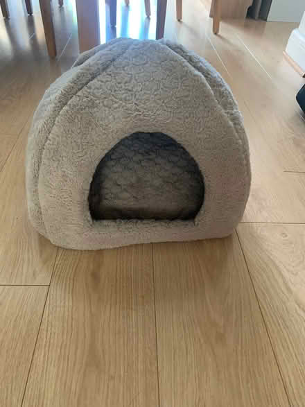 Photo of free Cat bed (London N21) #2