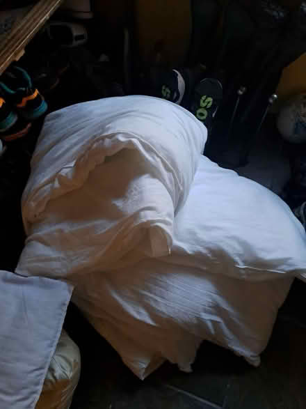 Photo of free King-size winter quilt (Cliburn CA10) #1