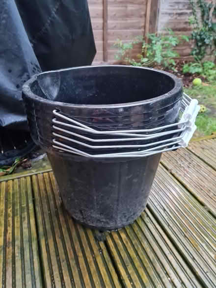 Photo of free Buckets (Wokingham RG40) #3
