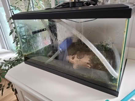 Photo of free Large fish tank/aquarium (Southborough TN4) #2