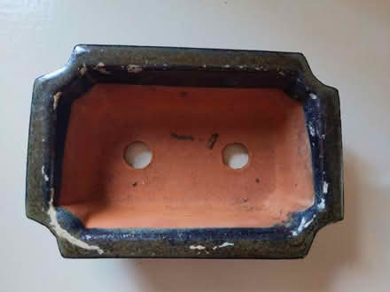 Photo of free Bonsai pot (New Marston OX3) #2