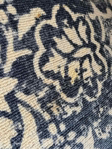 Photo of free Blue Rug 8x10ft (Twickenham TW2) #3