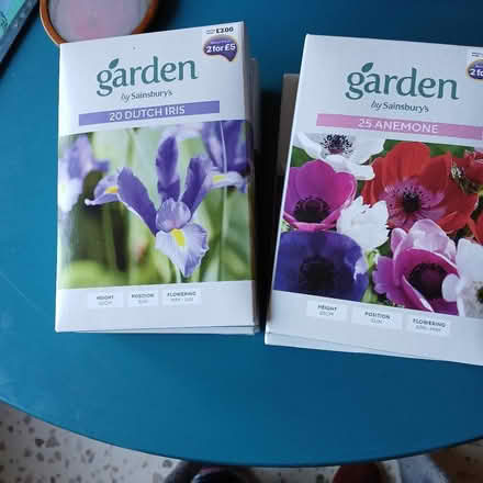 Photo of free Four unopened boxes of bulbs (Bradford on Avon BA15) #1