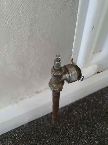 Photo of Radiator Caps (Sandwell DY4) #1