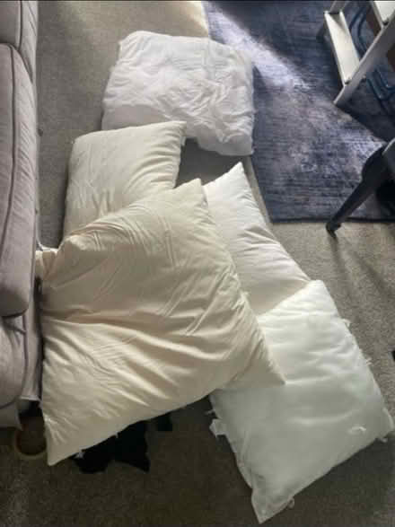 Photo of free Feather cushion inners (Bury BL9) #1