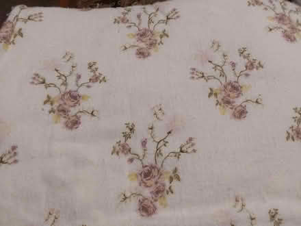 Photo of free Queen Flannel sheet set (I94/Rawsonville Rd, Willis) #1