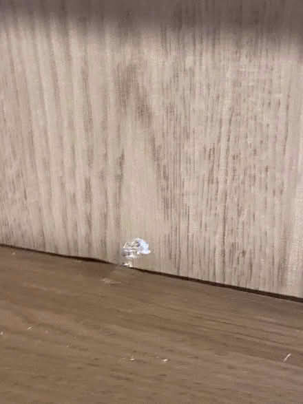 Photo of free Billy Bookcase - Birch Veneer (Horkesley Heath CO4) #3