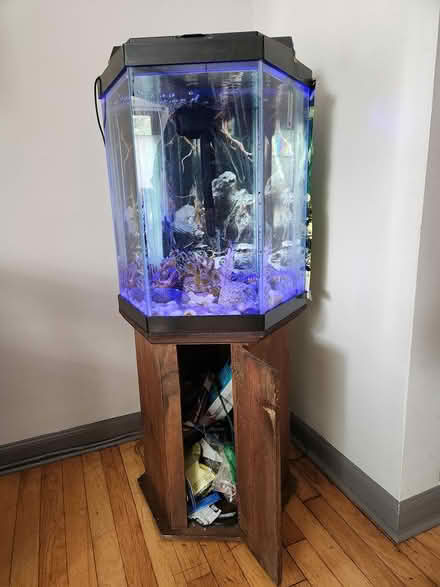 Photo of free Fish Tank (Teaneck, N.J.) #2