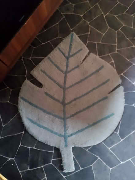Photo of free Leaf Shaped Rug (Culgaith CA10) #1
