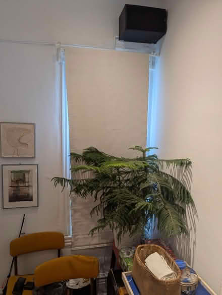 Photo of free Roller blinds (Brockton Village) #2