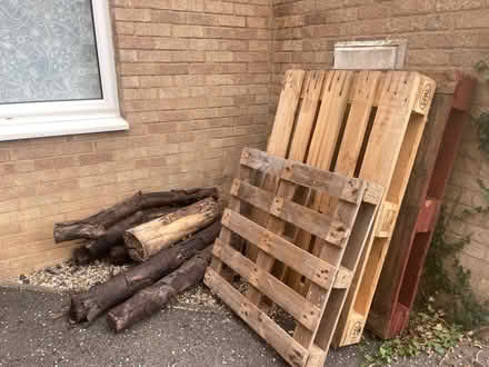 Photo of free Firewood CB245NA (Over) #1